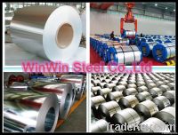 Galvanized Steel Coils