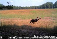 12 Megapixel Digital Game Camera