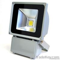 Led Flood Light
