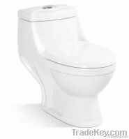 One piece washdown toilet