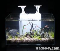 Ultra Clear Glass Aquarium