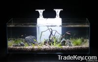 Ultra Clear Glass Aquarium