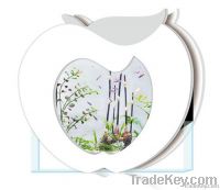 Medium Panel Eco-Aquarium