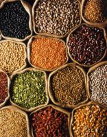 GRAINS &amp; PULSES