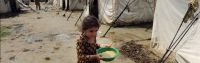 Food/Ration Bags