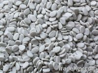 Filler Masterbatch