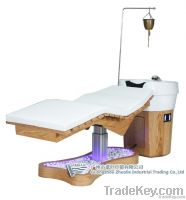 Luxury Electric Shampoo Units and Massage Spa Bed