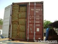 COCONUT COIR FIBER From India