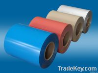 Color coated steel coils