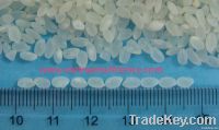 Round Short Rice