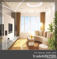 Stretch pvc ceilings