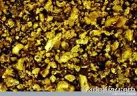 gold naget