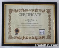 Most Popular PS Certificate Frames (No.222B)