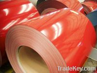 Color Galvanized Steel Coil