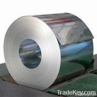 Galvanized Steel Coil