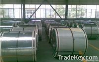 PPGI Steel Coils Pure White