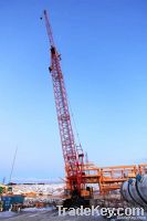 250 ton SANY crawler crane