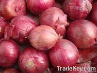 Fresh Red Onions