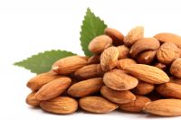 Almond Nuts Quality Raw Almond Nuts