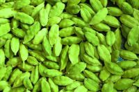 Green Cardamom Dried Cardamom Grade A Large 88ml