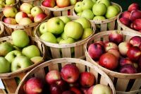 Apples, Fresh Apple/Apples Fruits 99% Quality