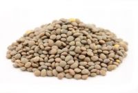 Lentils, Red Lentils, Pink Lentils All Colours, Quality Whole And Split 100% Quality