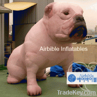 Dog inflatable