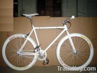 Fixed gear