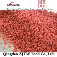 2014 new crop dried goji berry