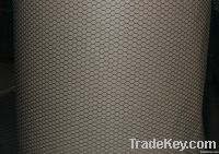 Hexagonal Wire Mesh