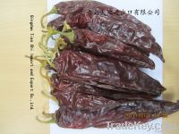 capsicum annuum/pimenton