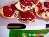 Pomegranates