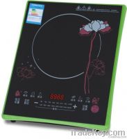 Induction Cooker