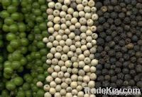 BLACK/WHITE PEPPER