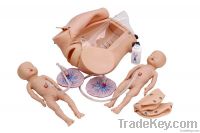 advanced delivery Integrated skills training model, delivery skills tr