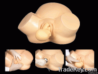 Senior midwifery training model, medical model