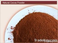 Natural Cocoa Powder