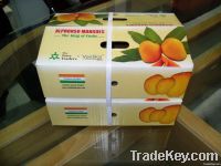 Indian Alphonso Mangoes