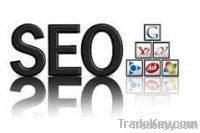 ecommerce website search engine ranking service