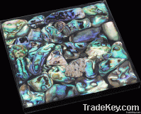 Paua Shell tile