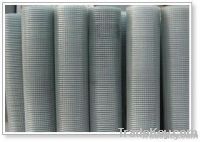 Sell Welded Wire Mesh