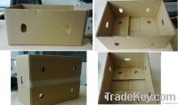 10kg Orange Carton - Bottom only