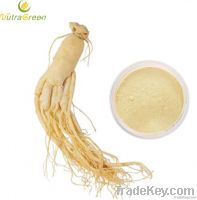 Panax Ginseng Extract Powder