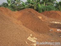 Palm kernel shell