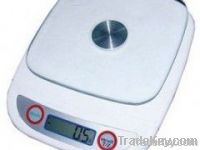 Retail Scale