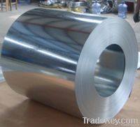 Galvanized steel coils