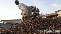 https://cn.tradekey.com/product_view/Best-Quality-Roasted-Cocoa-Beans-For-Sale-4057177.html