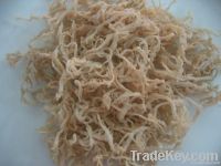Cottonii Seaweed