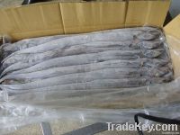 Ribbon Dehydrated Wild Fish (Trichiurus Lepturus