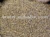 India- Yellow Millet